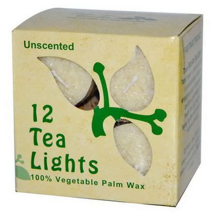 Aloha Bay, Palm Wax Candles, Tea Lights, Unscented, Cream Color, 12 Candles