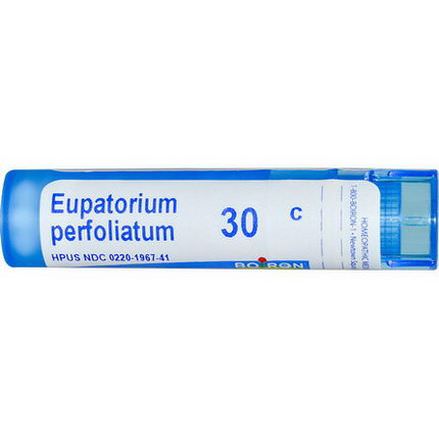 Boiron, Single Remedies, Eupatorium Perfoliatum, 30C, 80 Pellets