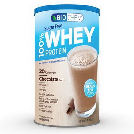 Country Life, 100% Whey Protein, Sugar Free, Chocolate Flavor 355g