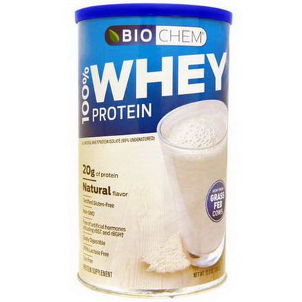Country Life, BioChem, 100% Whey Protein, Natural Flavor 350g