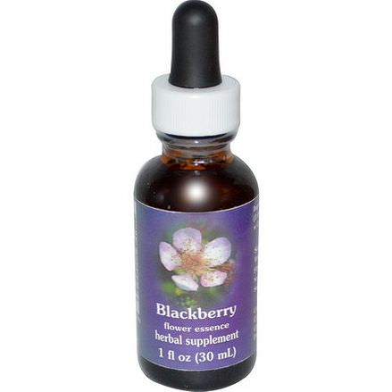 Flower Essence Services, Blackberry, Flower Essence 30ml