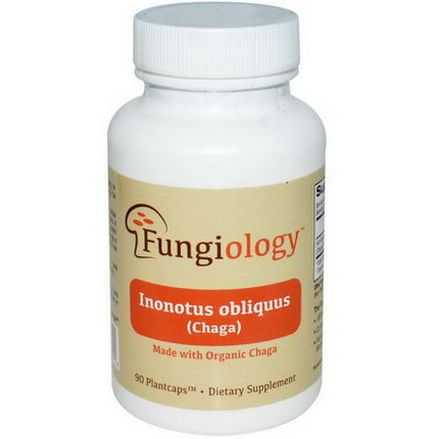 Fungiology Chaga, 90 Veggie Plantcaps