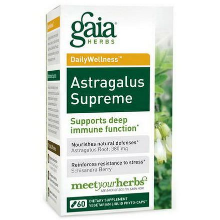 Gaia Herbs, DailyWellness, Astragalus Supreme, 60 Vegetarian Liquid Phyto-Caps