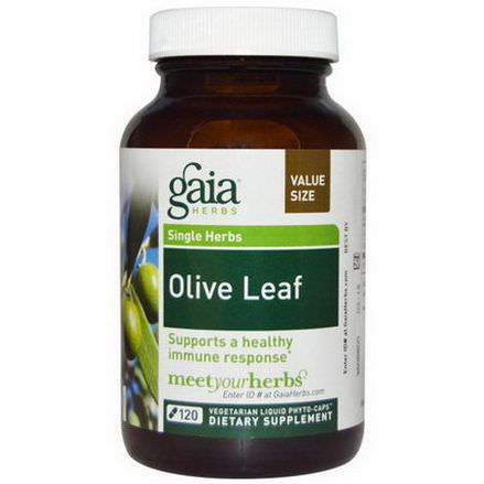Gaia Herbs, Olive Leaf, 120 Veggie Liquid Phyto-Caps
