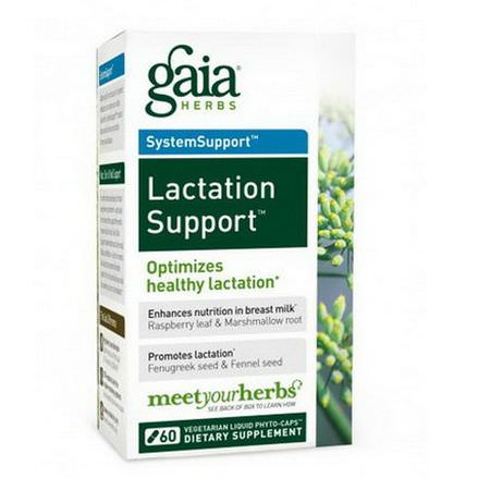 Gaia Herbs, SystemSupport, Lactate Support, 60 Veggie Liquid Phyto-Caps