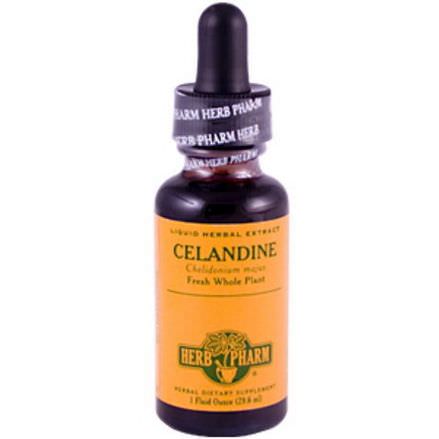 Herb Pharm, Celandine 29.6ml