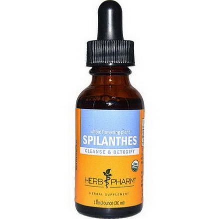Herb Pharm, Spilanthes, Whole Flowering Plant 30ml
