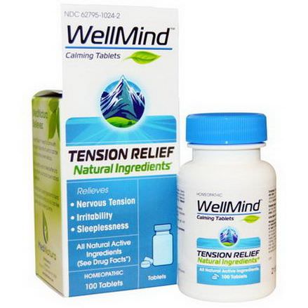 MediNatura, WellMind Calming Tablets, Tension Relief, 100 Tablets