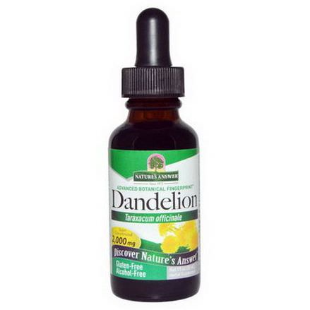 Nature's Answer, Dandelion, Alcohol Free, 2,000mg 30ml