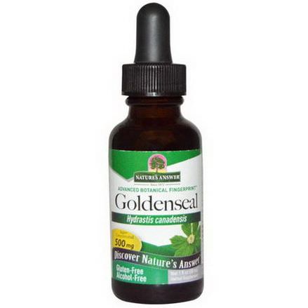 Nature's Answer, Goldenseal, Alcohol Free, 500mg 30ml