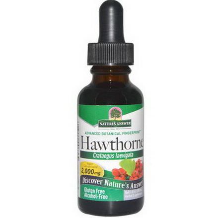 Nature's Answer, Hawthorne, Alcohol-Free, 2000mg 30ml