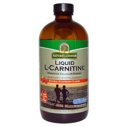 Nature's Answer, Liquid L-Carnitine, Natural Raspberry Flavor 480ml