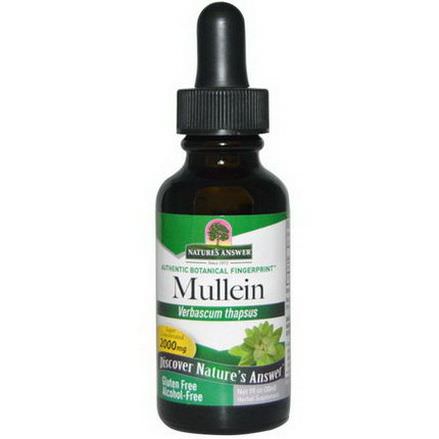 Nature's Answer, Mullein, Alcohol-Free, 2000mg 30ml