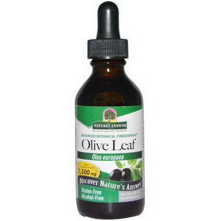 Nature's Answer, Olive Leaf, Alcohol-Free, 1,500mg 60ml