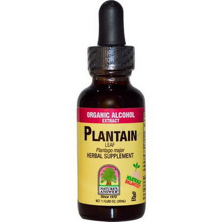 Nature's Answer, Plantain Leaf, Organic Alcohol Extract 30ml