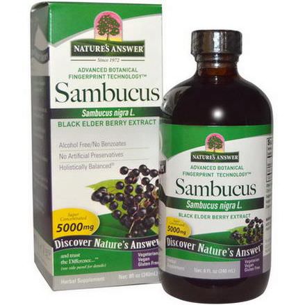 Nature's Answer, Sambucus, Black Elder Berry Extract, 5000mg 240ml