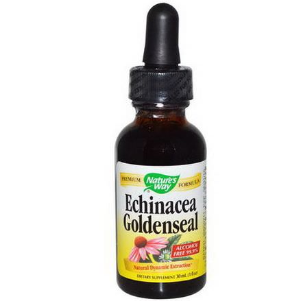 Nature's Way, Echinacea Goldenseal, Alcohol Free 99.9% 30ml