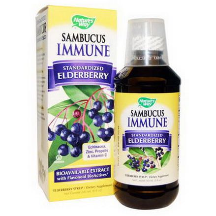 Nature's Way, Sambucus Immune, Elderberry Syrup 240ml