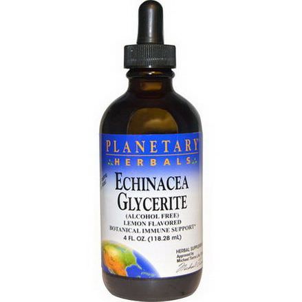 Planetary Herbals, Echinacea Glycerite Alcohol Free, Lemon Flavored 118.28ml