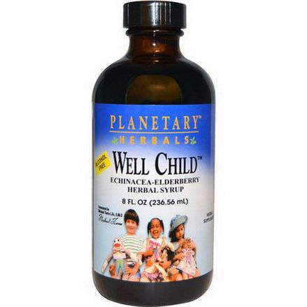 Planetary Herbals, Well Child, Echinacea-Elderberry Herbal Syrup, Alcohol Free 236.56ml