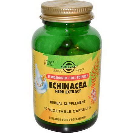 Solgar, Echinacea Herb Extract, 60 Veggie Caps