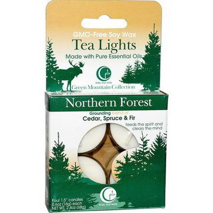 Way Out Wax, Tea Lights, Northern Forest, 4 Candles 16g Each