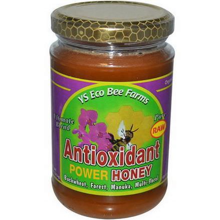 Y.S. Eco Bee Farms, Antioxidant Power Honey 383g