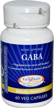 GABA, Brain/Memory, 60 Veggie Caps by Enzymatic Therapy-Kosttillskott, Gaba (Gamma Aminosmörsyra)
