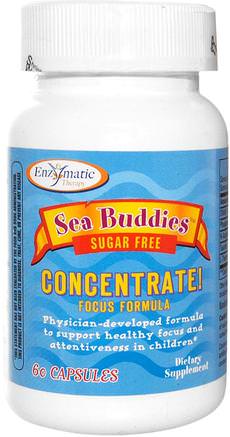 Sea Buddies, Concentrate!, Focus Formula, Sugar Free, 60 Capsules by Enzymatic Therapy-Kosttillskott, Dmae