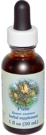 Healing Herbs, Pine, Flower Essence, 1 fl oz (30 ml) by Flower Essence Services-Sverige