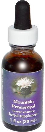 Mountain Pennyroyal, Flower Essence, 1 fl oz (30 ml) by Flower Essence Services-Örter, Pennyroyal