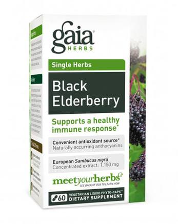 Black Elderberry, 30 Vegetarian Liquid Phyto-Caps by Gaia Herbs-Hälsa, Kall Influensa Och Viral, Elderberry (Sambucus)