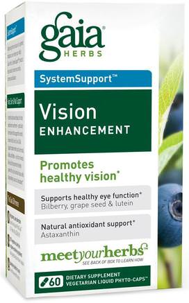 SystemSupport, Vision Enhancement, 60 Vegetarian Liquid Phyto-Caps by Gaia Herbs-Hälsa, Ögonvård, Visionvård, Vision