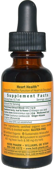 Hälsa, Hjärtkardiovaskulär Hälsa, Hjärtstöd