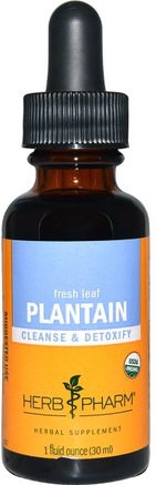 Plantain, Fresh Leaf, 1 fl oz (30 ml) by Herb Pharm-Örter, Plantain