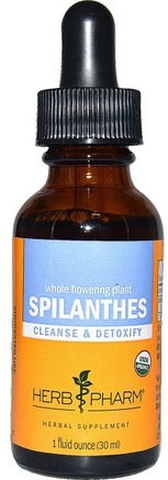 Spilanthes, Whole Flowering Plant, 1 fl oz (30 ml) by Herb Pharm-Örter, Spillanthes