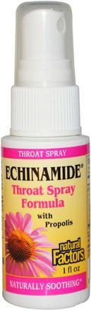 Echinamide, Throat Spray Formula with Propolis, 1 fl oz by Natural Factors-Hälsa, Kall Influensa Och Virus, Halsvårdspray, Lung Och Bronkial