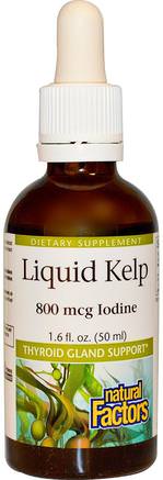 Liquid Kelp, 800 mcg Iodine, 1.6 fl oz (50 ml) by Natural Factors-Hälsa, Sköldkörtel, Kosttillskott, Alger Olika, Kelp