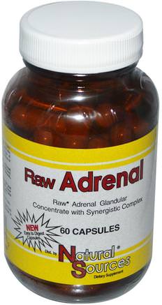 Raw Adrenal, 60 Capsules by Natural Sources-Kosttillskott, Binjur, Nötkreaturprodukter