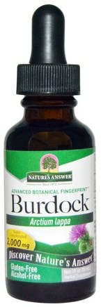 Burdock, Alcohol-Free, 2.000 mg, 1 fl oz (30 ml) by Natures Answer-Örter, Burdock Rot