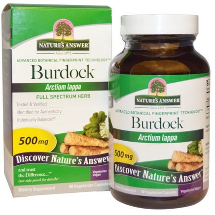 Burdock, Full Spectrum Herb, 500 mg, 90 Vegetarian Capsules by Natures Answer-Örter, Burdock Rot