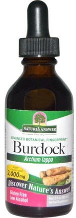 Burdock, Low Alcohol, 2.000 mg, 2 fl oz (60 ml) by Natures Answer-Örter, Burdock Rot