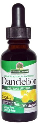 Dandelion, Alcohol Free, 2.000 mg, 1 fl oz (30 ml) by Natures Answer-Örter, Maskrosrot