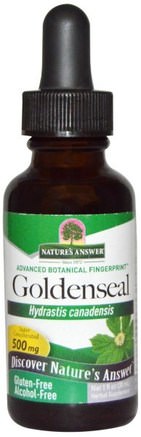 Goldenseal, Alcohol Free, 500 mg, 1 fl oz (30 ml) by Natures Answer-Örter, Goldenseal Rot