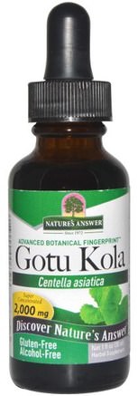 Gotu Kola, Alcohol-Free, 1 fl oz (30 ml) by Natures Answer-Hälsa, Kvinnor, Åderbråck, Gotu Kola
