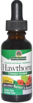 Hawthorne, Alcohol-Free, 2000 mg, 1 fl oz (30 ml) by Natures Answer-Örter, Hagtorn