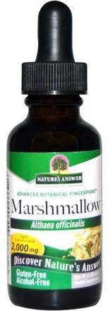 Marshmallow, Alcohol Free, 2.000 mg, 1 fl oz (30 ml) by Natures Answer-Örter, Marshmallow Rot