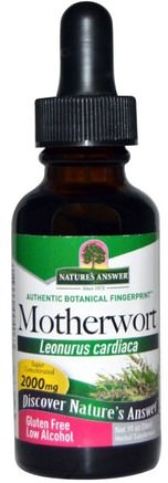 Motherwort, Low Alcohol, 2000 mg, 1 fl oz (30 ml) by Natures Answer-Örter, Motherwort