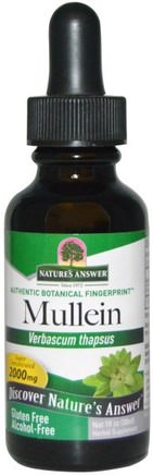 Mullein, Alcohol-Free, 2000 mg, 1 fl oz (30 ml) by Natures Answer-Hälsa, Lung Och Bronkial, Mullein