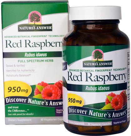 Red Raspberry, Rubus Idaeus, 950 mg, 90 Vegetarian Capsules by Natures Answer-Örter, Röd Hallon